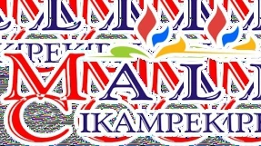 Customer logo